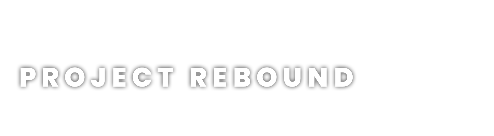Project Rebound Journal