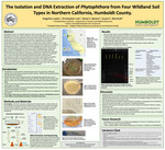 The Isolation and DNA Extraction of Phytophthora from Four Wildland Soil Types in Northern California, Humboldt County by Angelina Lasko, Christopher Lee, David S. Baston, and Susan E. Marshall