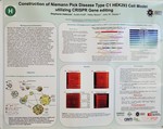 Construction of Niemann Pick Disease Type C1 HEK293 Cell Model Utilizing CRISPR Gene Editing by Stephanie Valencia, Austin Kraff, Haley Nisson, and John W. Steele