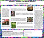 Psychedelics, Indigenous Tribes, and Their Sovereignty by Sophia Kitts and Max Schmidtbauer