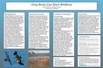 Only Birds Can Start Wildfires by Payton Wills and Nathan Chavez