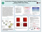 Construction of Niemann Pick Disease Type C1 HEK293 Cell Model utilizing CRISPR Gene editing by Stephanie Valencia, Austin Kraff, Haley Nisson, and John W. Steele IV