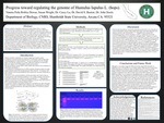 Progress toward regulating the genome of Humulus lupulus L. (hops). by Vannia Pena