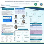 Photodegradation of Chlorinated Organic Compounds in Surface Waters by Cristina L. Tusei, Brian DiMento, and Christoph Aeppli