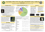 Food Habits of Barn Owls (Tyto alba) in Humboldt County, California by Katrina Lopez